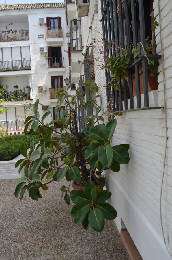 La Casa De Jose Manuel Apartment Sevilla Exterior foto